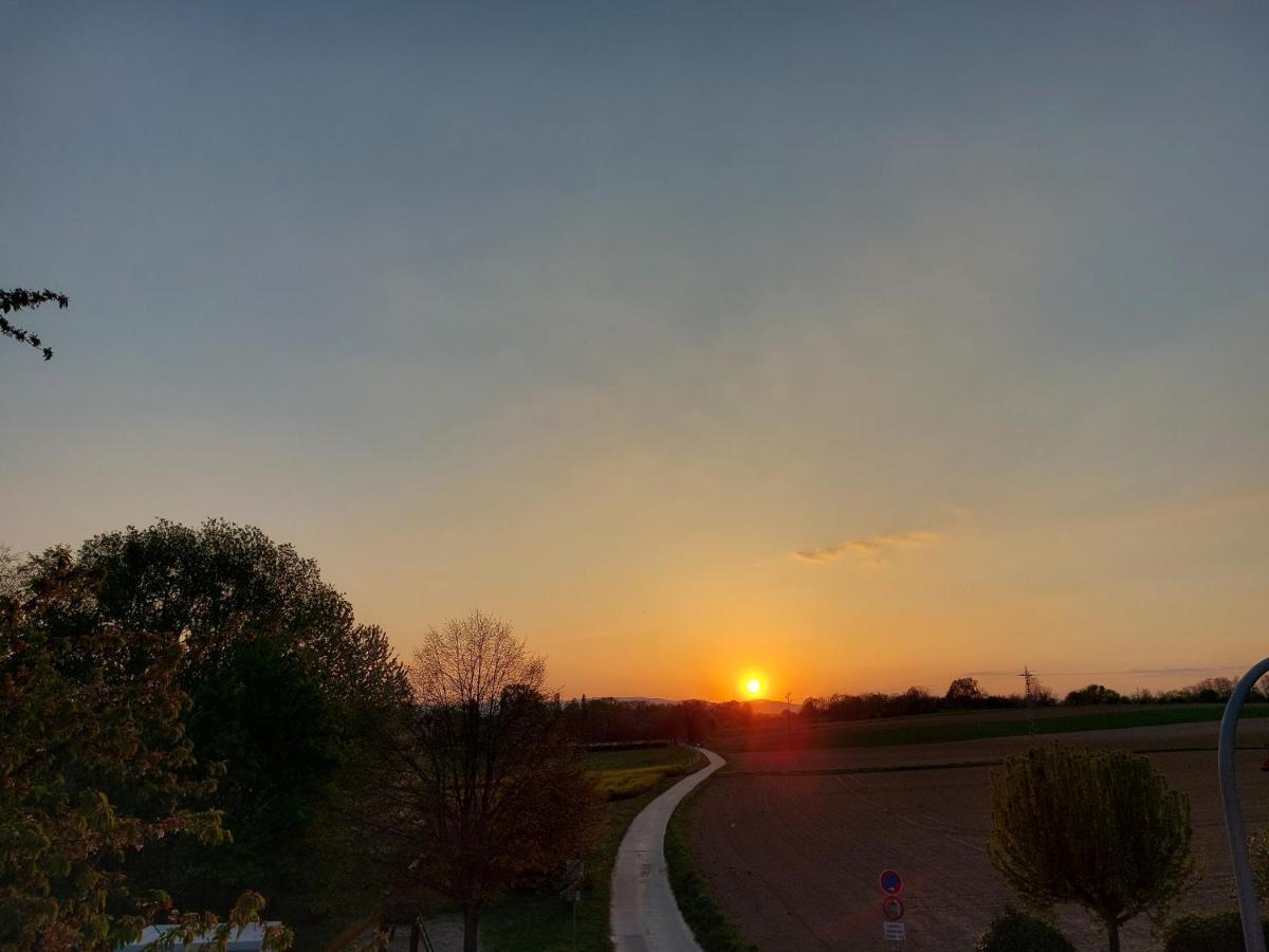 Landpartie Apartment Freckenfeld Bagian luar foto